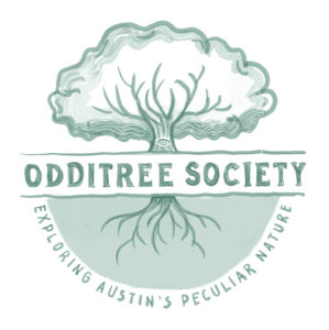 Austin's Wer Odditree Society Logo